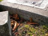 image of grave number 172613